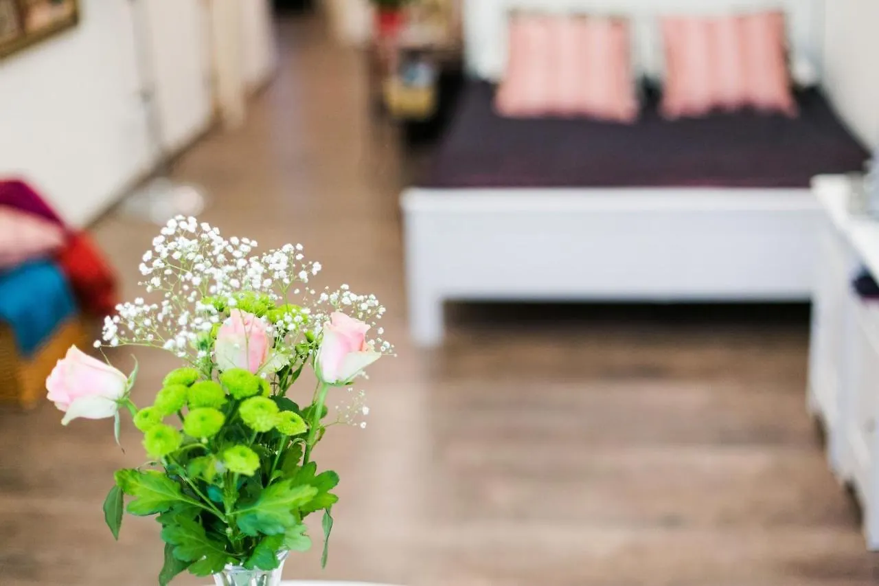 Apartmán Hotel Star Budapešť Maďarsko